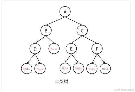 【数据结构】二叉树的前中后序遍历以及层序遍历（全解） 腾讯云开发者社区 腾讯云