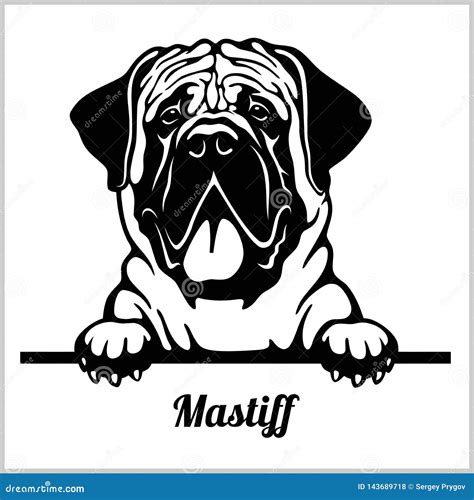 Mastiff Cartoons, Illustrations & Vector Stock Images - 8010 Pictures