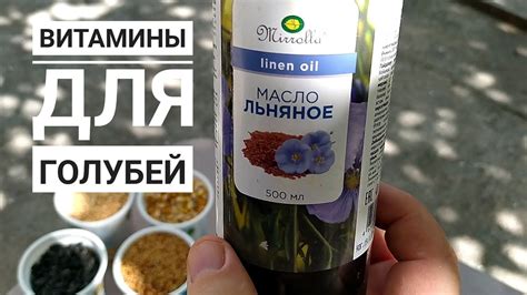 Витамины для голубей. Бойные голуби. 03.09.21 Грузия .Тбилиси - YouTube