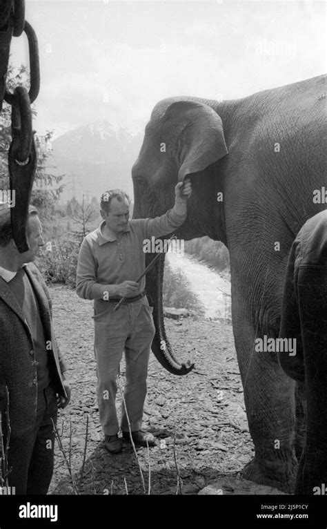 Filming the movie " Hannibal Brooks " on location in Vorarlberg ...