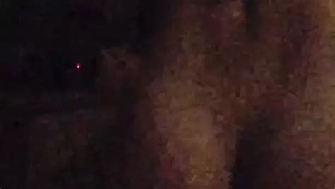 Free Amateur MILF Mom Porn Videos 2 XHamster