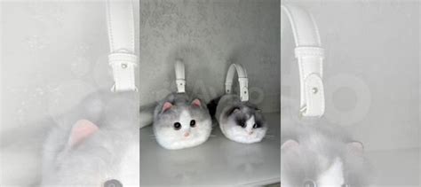 Сумка кошка кот Maotaimeng купить в Москве с доставкой | Личные вещи ...