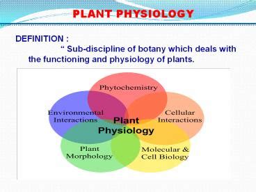 plant physiology    view