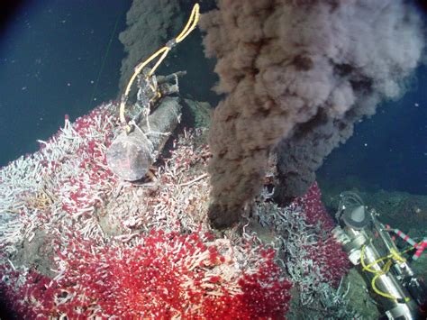 Jeff's (2nd) Geology Blog: Hydrothermal Vents and Organisms