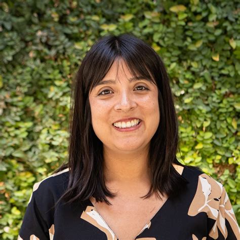 A resistência das abelhas nativas de Peru contra o desmatamento