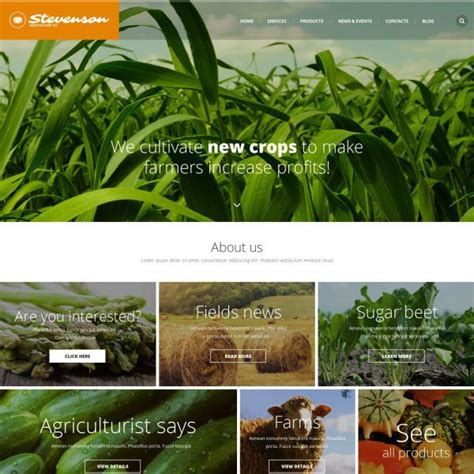 Agriculture Responsive Website Template Website Template Web Design