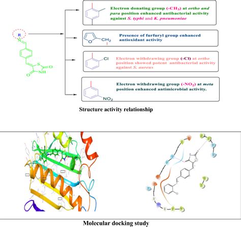 Design Synthesis In Silico Studies And Biological Evaluation Of 5 E