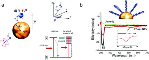 Circular Dichroism Of Coupled Molecular Plasmonic Systems A