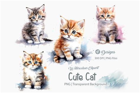 Cute Kitten Clipart Png Cat Bundle Graphic By Creationx Space