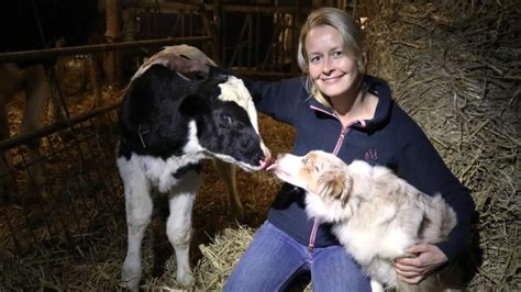 Landwirtschaftskammer SH bietet Kurse für Bauernhofpädagogik an SHZ