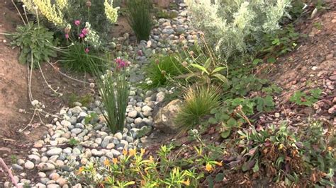 Charles King Sadler On Linkedin Swale And Rain Garden How To
