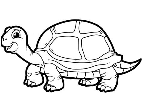 Desenho De Um Jabuti - Desenhos de Jabuti Grátis para Colorir e Imprimir - Colorir.Info