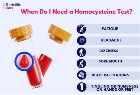 Homocysteine Test Price Result Purpose Procedure 2025