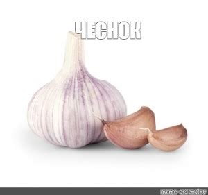 Создать мем "чеснок свежий, лук чеснок, чеснок соло 250г" - Картинки ...