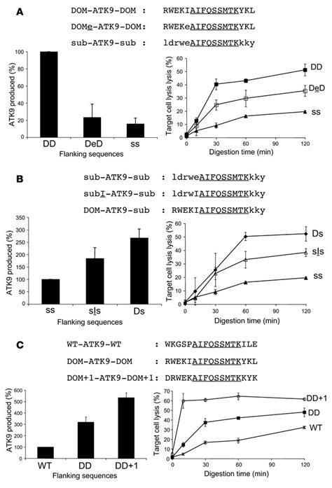 JCI Portable Flanking Sequences Modulate CTL Epitope Processing