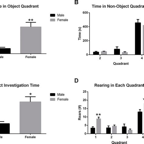 Sex Differences In Exploratory Activity During The Sample Trial Of Ort