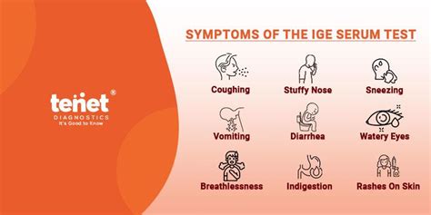 Immunoglobulin E Serum Test: Purpose, Procedure, Results, Cost