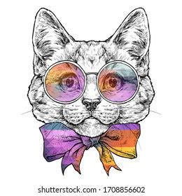 Hand Drawn Portrait Cat Glasses Bow Stock Vector Royalty Free