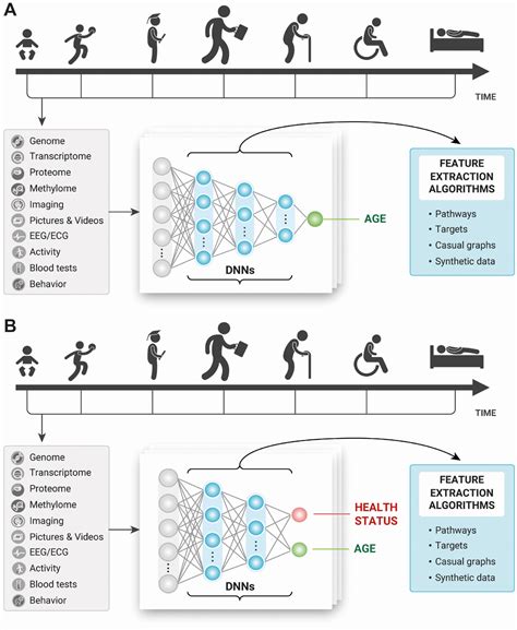 Deep Biomarkers Of Aging And Longevity From Research To Applications