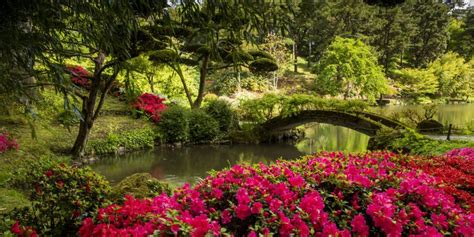 Parenthèse orientale dans le plus grand jardin japonais d Europe