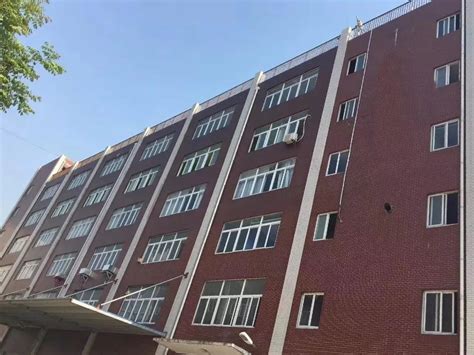 Sexy Women Luxury Swimwear Diamond Bikini Hot Sequin Rhinestone Swimsuit Buy Diamond Bikini