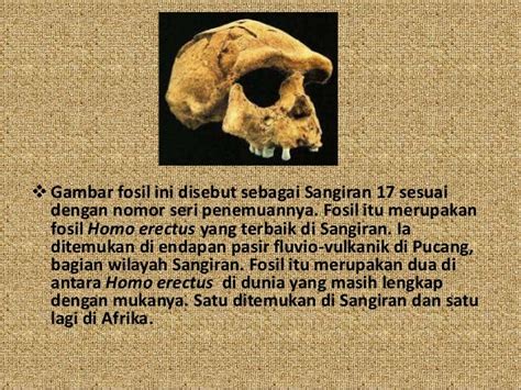 mengenal manusia purba dan situs sangiran