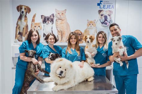 Carrera De Veterinaria Universidades Becas Y M S