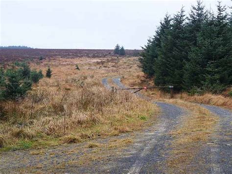 Forest Road Wark Forest Oliver Dixon Geograph Britain And Ireland