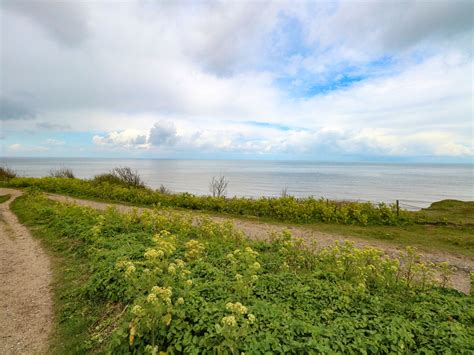 107 Kings Chalet Park, Cromer - Dog Friendly Holiday Cottage in East Anglia