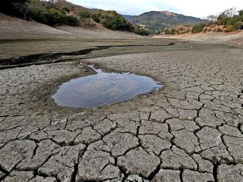 Nestlé Calls Worlds Water Scarcity ‘more Urgent Than Climate Change