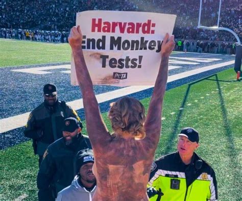 Video Nude Monkeys Crash Harvard Yale Game Peta