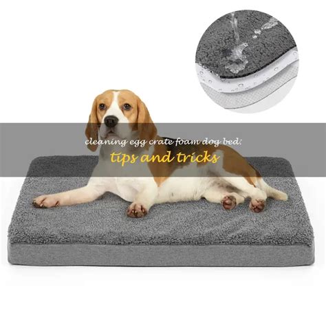 how to wash egg crate foam dog bed