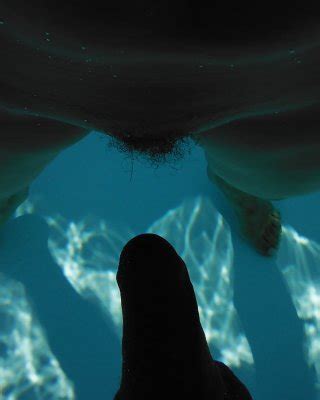 Fellation Plage Porn Pics PICTOA