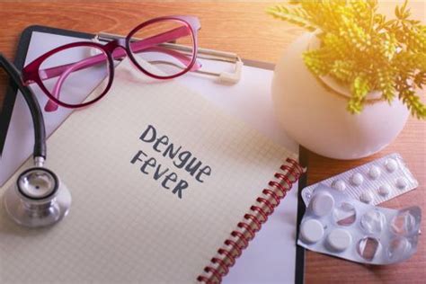 Dengue Fever During Pregnancy Symptoms And Causes Treatment Tips To Know Cloudnine Blog