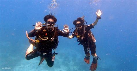 Discover Scuba Padi Open Water Diver Course In Bohol With Padi 5 Star