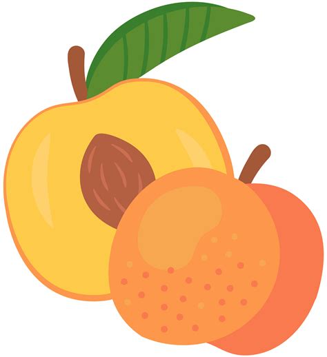 Peach SVG Peach Cut File Peach Clipart Peach Vector Peach Fruit SVG