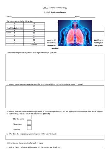 Anatomy And Physiology 2 Final Exam Questions And Answers - Anatomical Charts & Posters