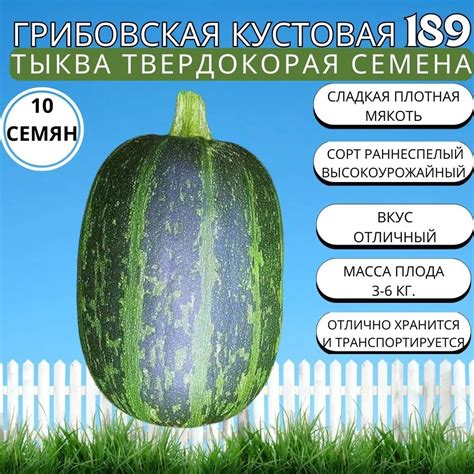Тыква твердокорая Агрохолдинг ПОИСК Грибовская кустовая 189 10шт 687988 ...