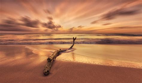 Panorama In Trinidad And Tobago Stock Image Image Of Ocean Island