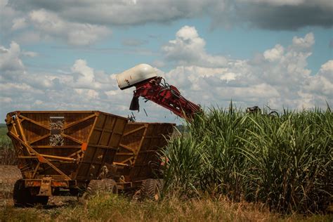 Moagem De Cana De A Car No Norte E Nordeste Cresce Na Safra