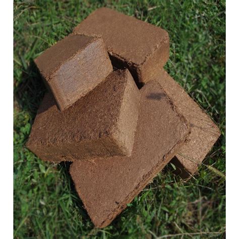 Bestoyard Coconut Fiber Soil Direct Plant Seed Sta Grandado