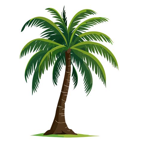 Coconut Tree Transparent Background 25165901 Png