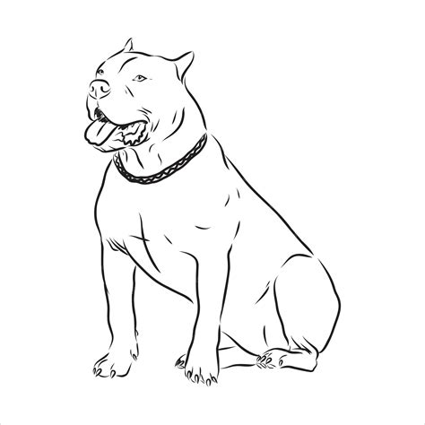 Desenho De Cachorro Pitbull - Desenho vetorial desenho pitbull latindo vetor de cão pit bull terrier ...