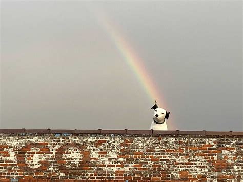 Meteorologist Jill Szwed leaving WTEN