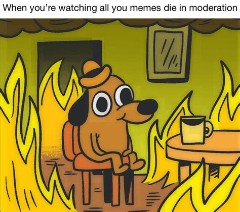 Everything Is On Fire Meme Captions Beautiful