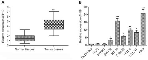 H19 Promotes The Migration And Invasion Of Colon Cancer By Sponging MiR