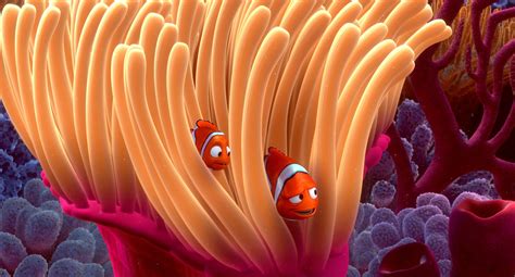 Le Monde De Nemo Site Officiel Le Monde De Nemo Anecdotes Disney Nemo