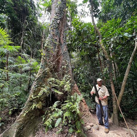 Things To Do Mossman Gorge