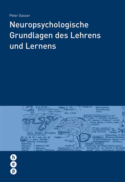 Neuropsychologische Grundlagen Des Lehrens Und Lernens Pdf Hep Verlag