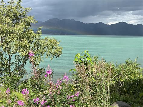 Remembering the Life and Legacy of Brenda Brown 6